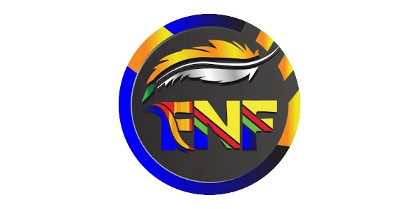 **FNF TUNNEL BD VPN** ***✅***