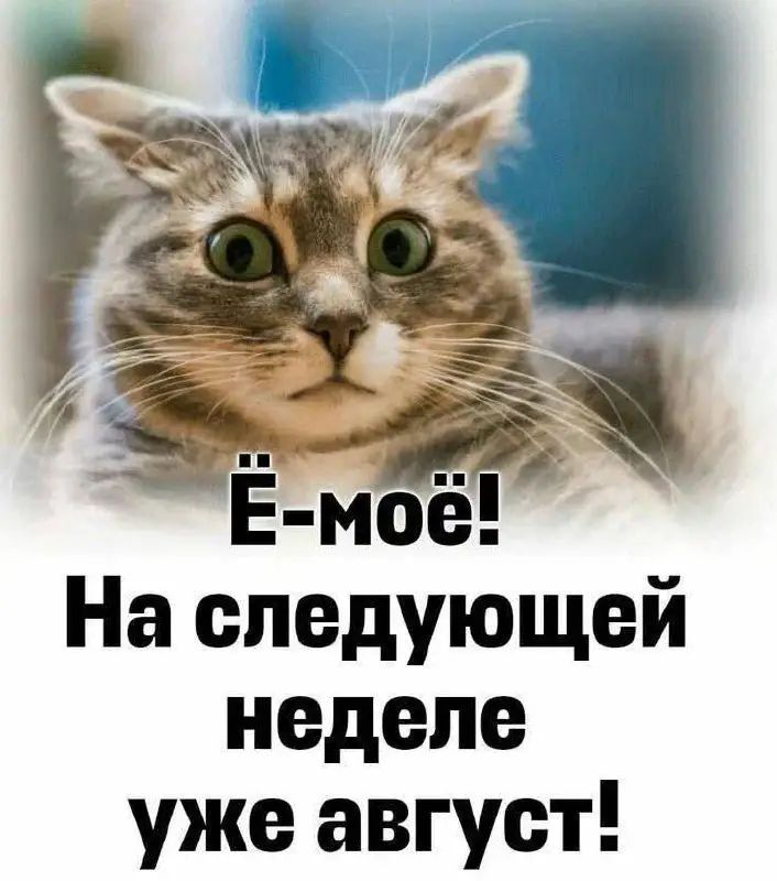 ***🥳*** Август это месяц продаж!