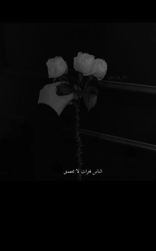 رماد ✨