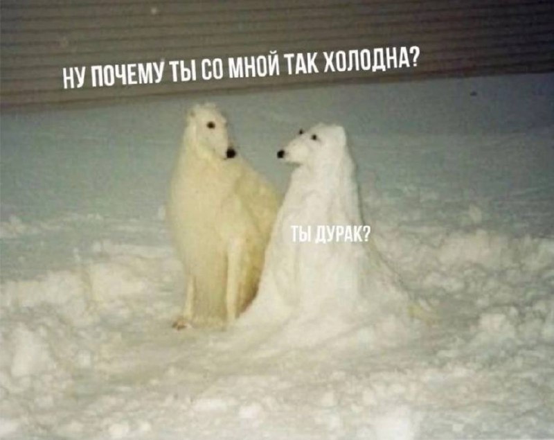 От подписчика