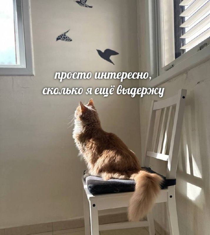 не знаю