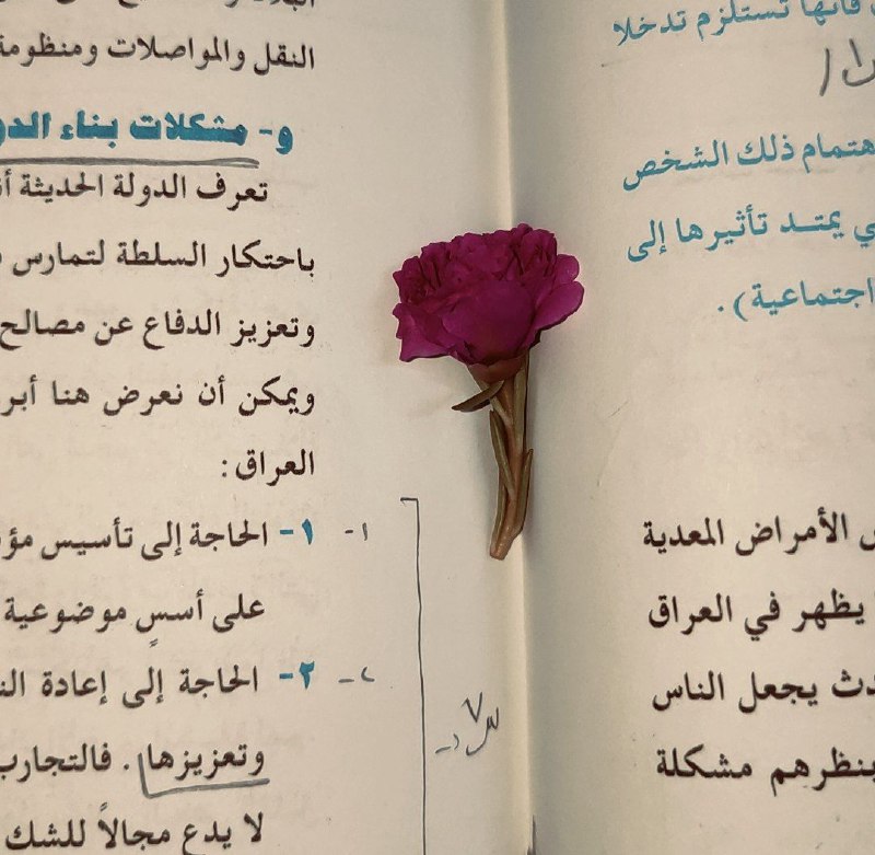 حـَوࢪ🎀⤹