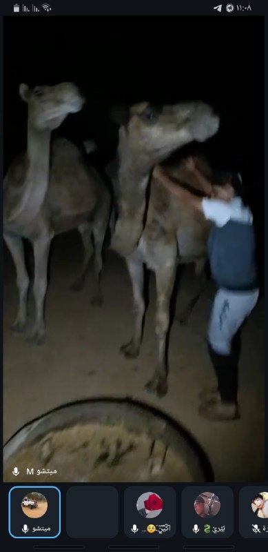 مسره ويقين ***?***