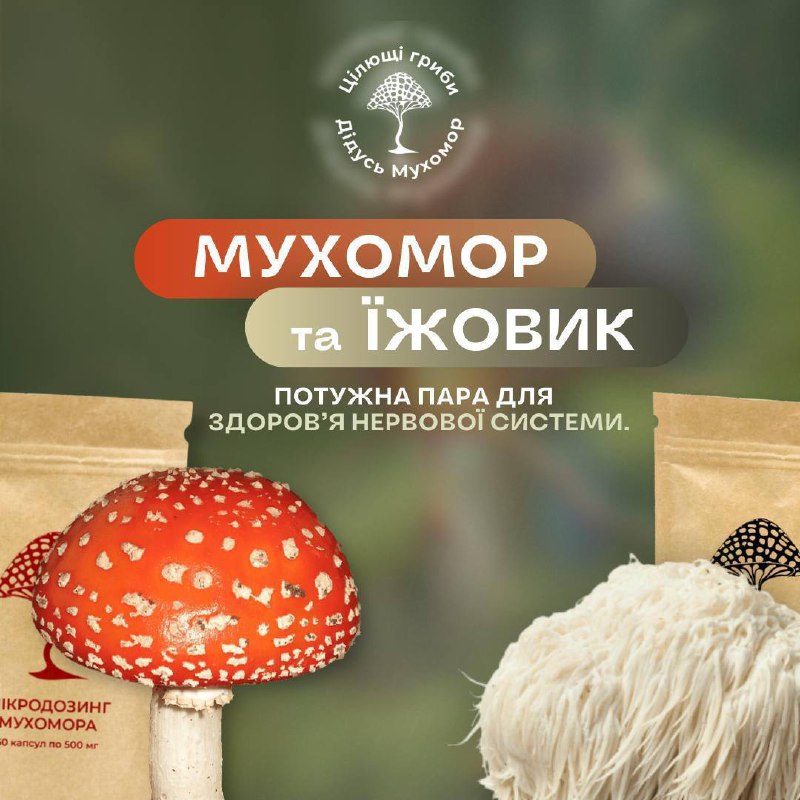 **Пара для здоров'я нервів ***🍄*** + …