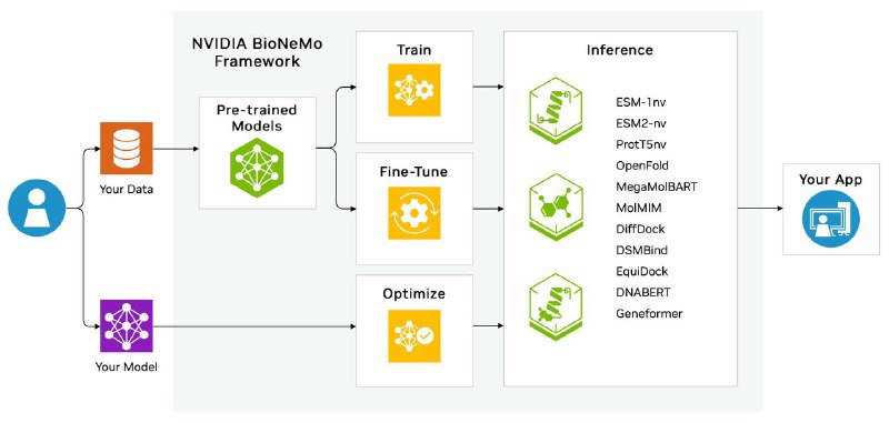 ***🌟*** BioNeMo: A Framework for Developing …