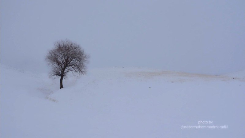 صدای همهمه می‌آید