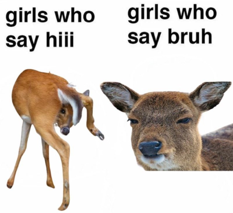 Deerposts