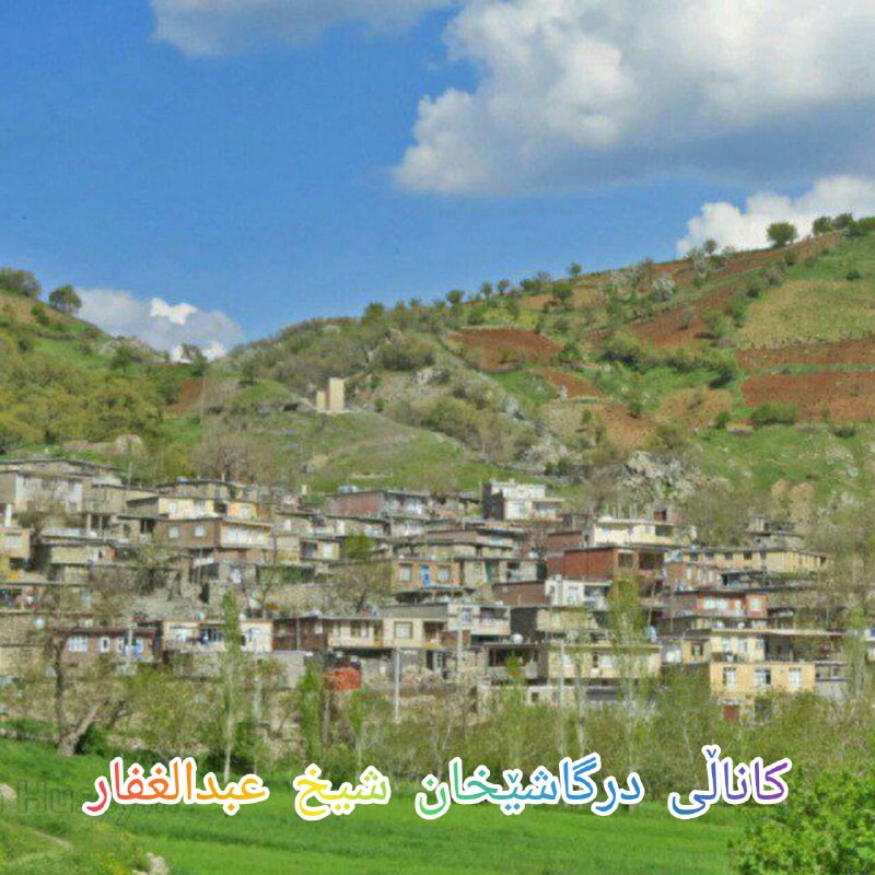 ***?*** **شوێن: درگاشێخان