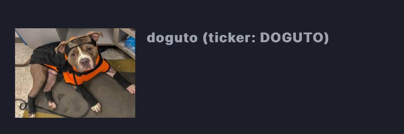 $DOGUTO