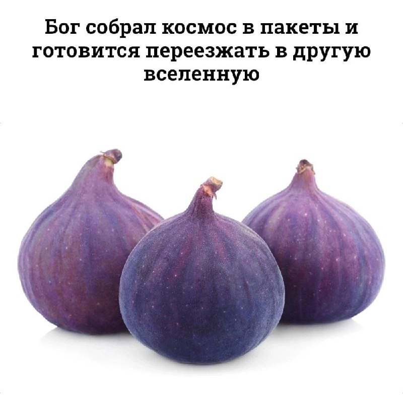 розсветы и туманы