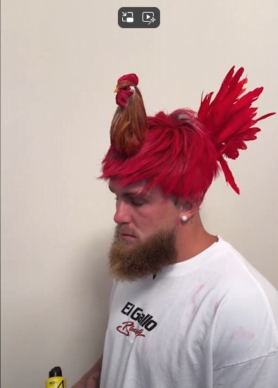 jake Paul: El Gallo (de Haan)