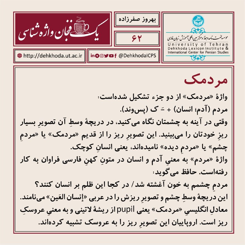 یک فنجان واژه‌شناسی - ۶۲