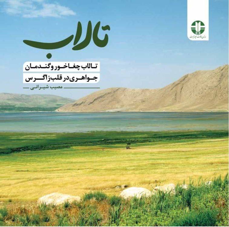 دهکرد_آنلاین