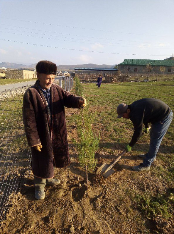 **Foto: Tumanning “Qodir baxshi Rahimov” mahallasida …