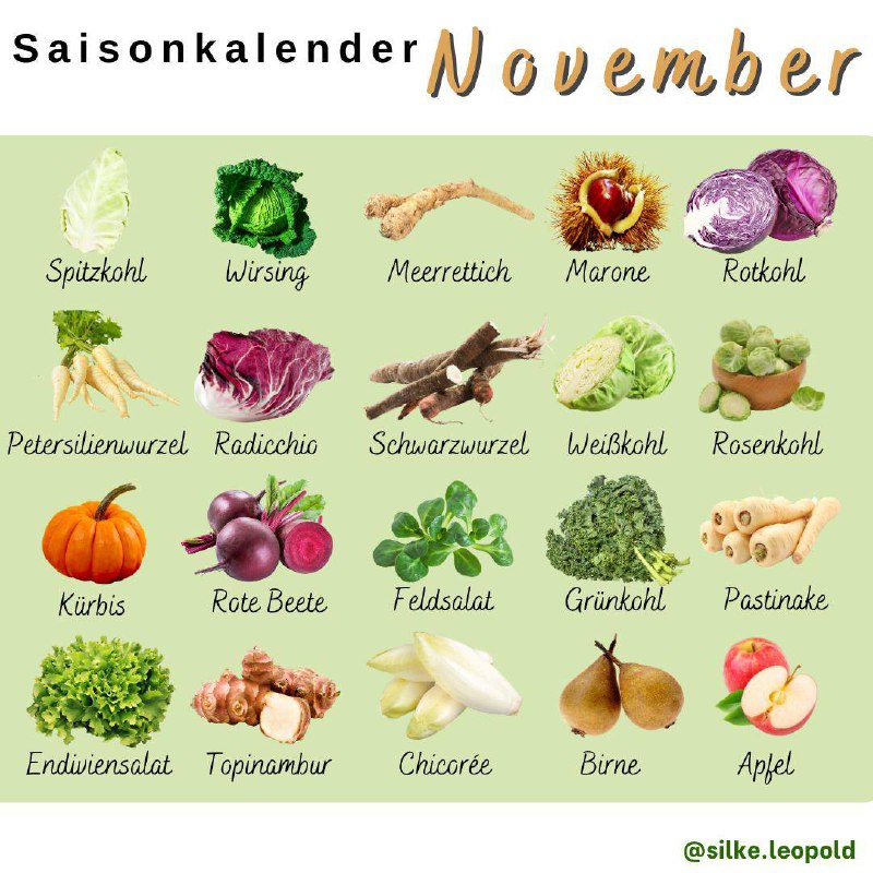 Saisonkalender November … regionales Obst, Gemüse …