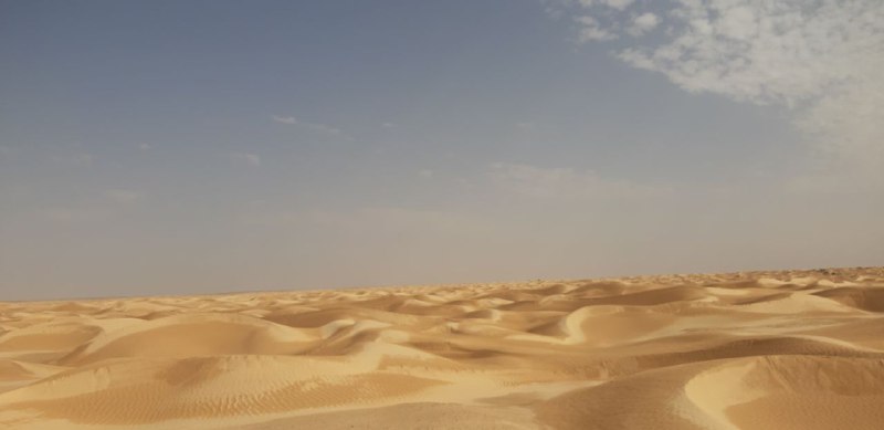 In der Sahara gibt es Gebiete …