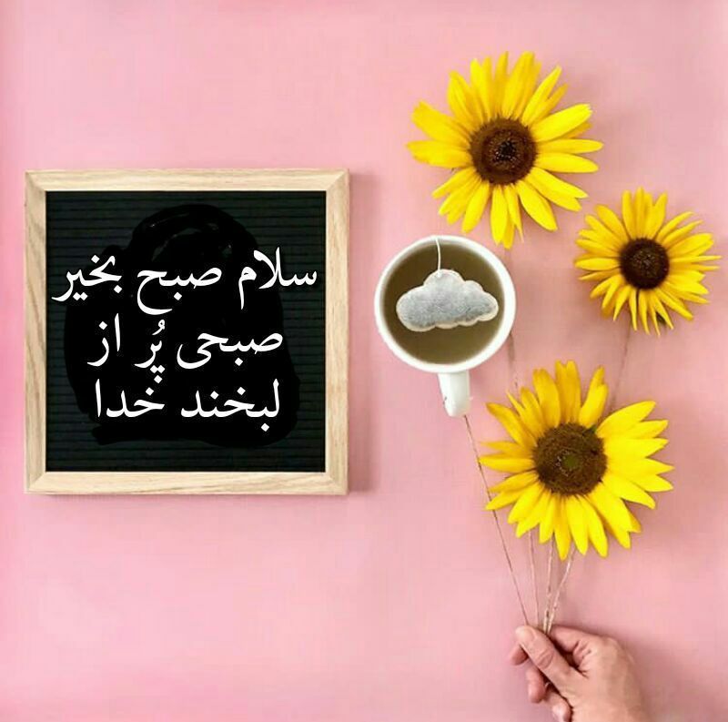 ***💫***