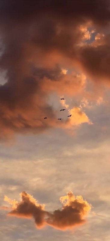 یکم غروب برای شما