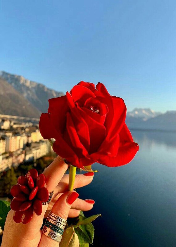 **گاهی آدم‌هاخوشی‌های ڪوچڪ را