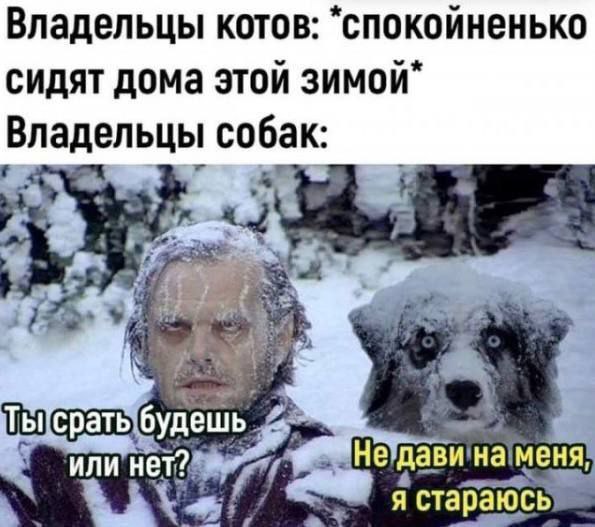 Делюксики