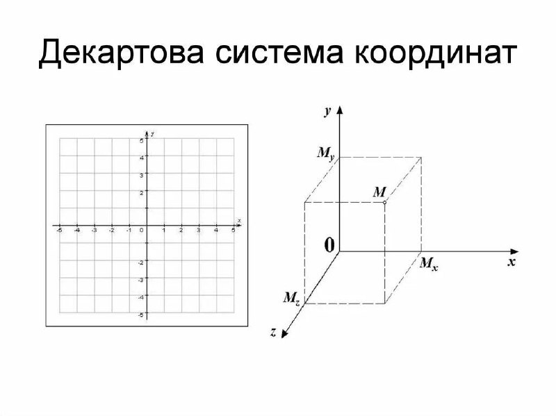 **КУРИЦА ИЛИ РЫБА**