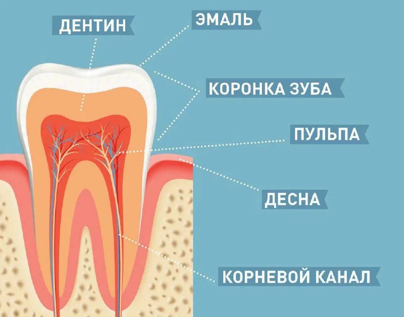 ***😬***Гиперстезия- повышенная чувствительность Зубов к различным …