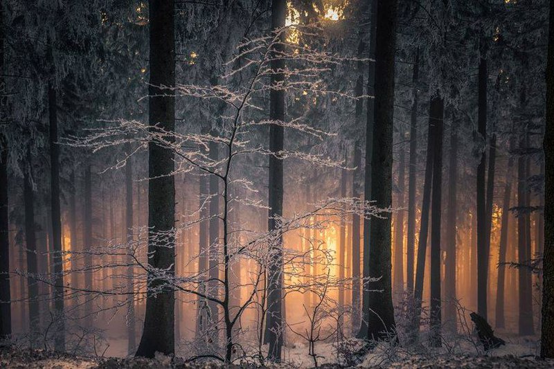 La semplicità dell’inverno ha una profonda …