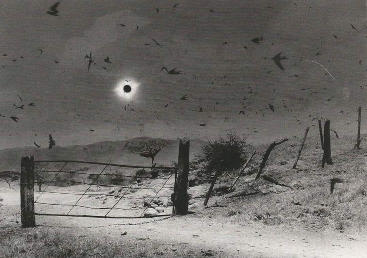 Solar eclipse from Chiapas, Mexico