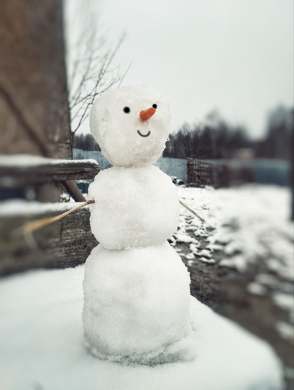 с первым снегом нас! ***✨******❄***