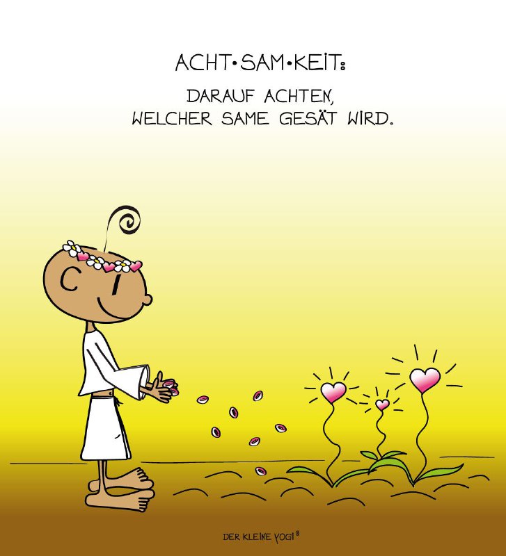 Der kleine Yogi®