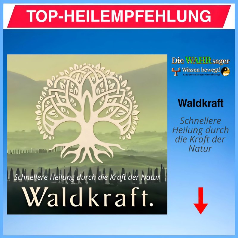 ***🌿******💯*** **TOP-HEILEMPFEHLUNG**