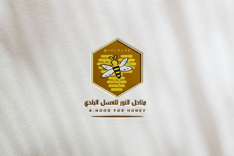 design and translation