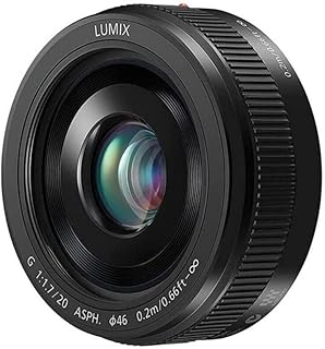 ***?*** **Panasonic LUMIX H-H020AE-K - Objetivo …