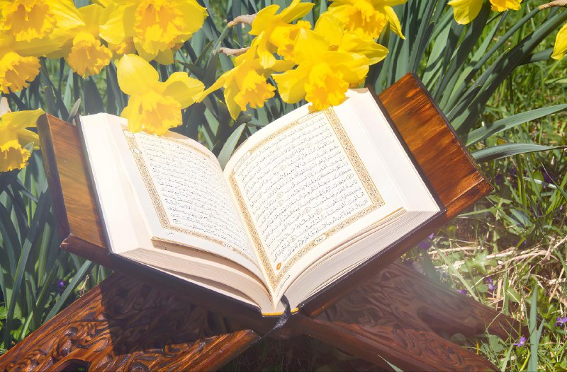صور مصاحف وتصاميم مفرغة لخدمة القرآن