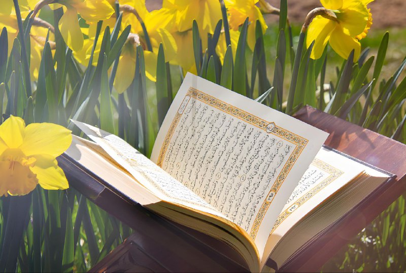 صور مصاحف وتصاميم مفرغة لخدمة القرآن