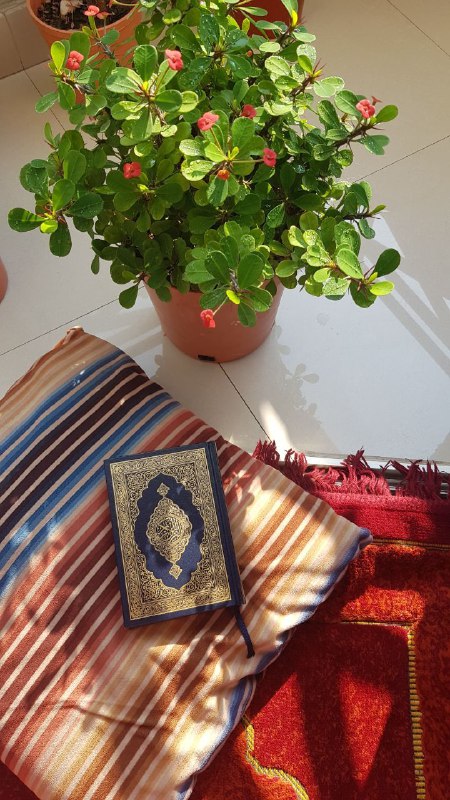 صور مصاحف وتصاميم مفرغة لخدمة القرآن