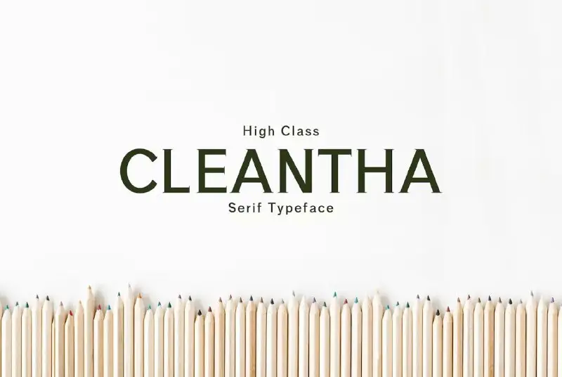 Шрифт Cleantha Serif Font Family Pack