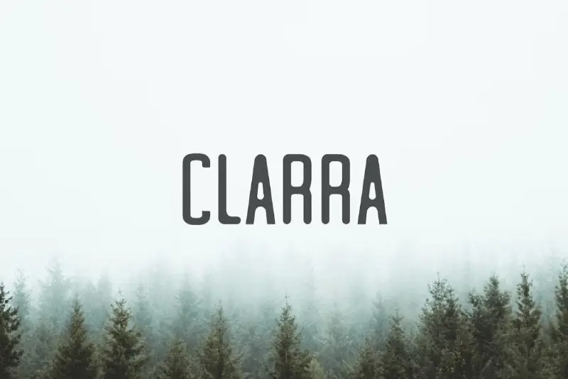 Шрифт Clarra Sans Serif Font Family