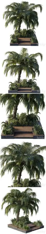 Garden pot tree palm bush fern …