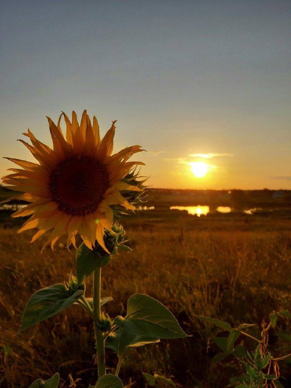 І от, останній літній день,