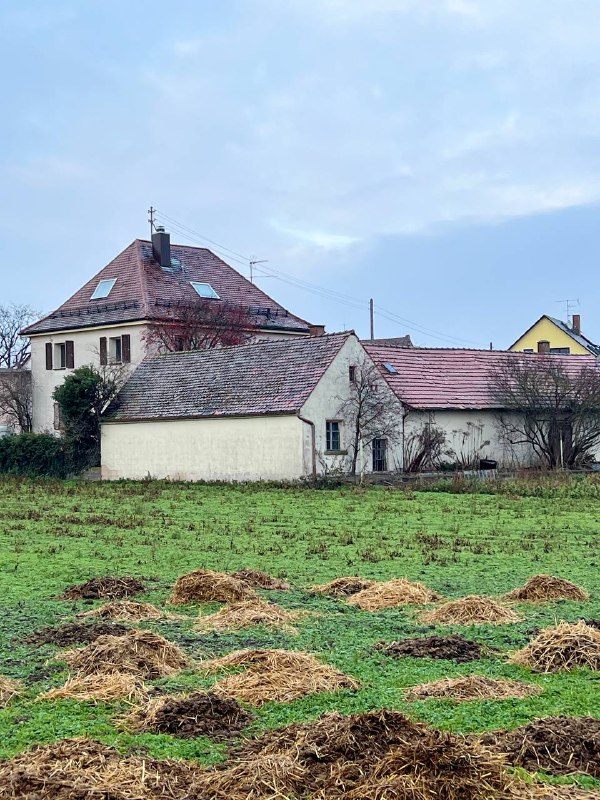 Немецкие крендели 🥨 Нюрнберг и Бавария