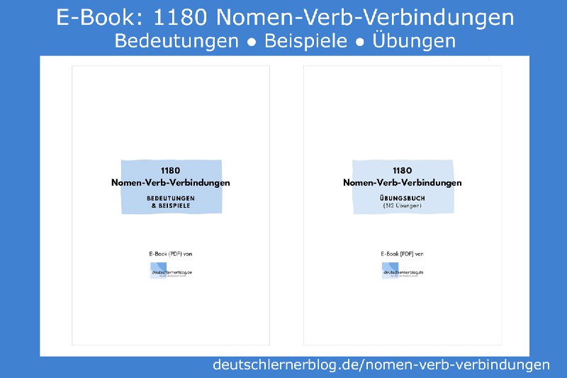 etwas zur Abstimmung bringen
