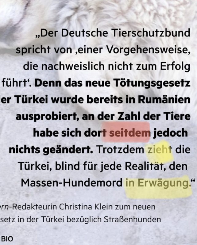 in Erwägung ziehen (B2)