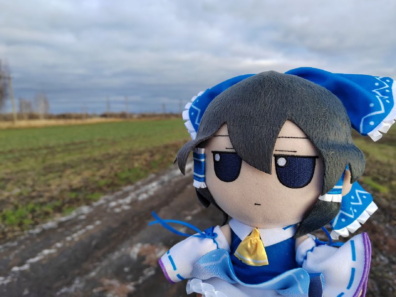 /dev/fumo