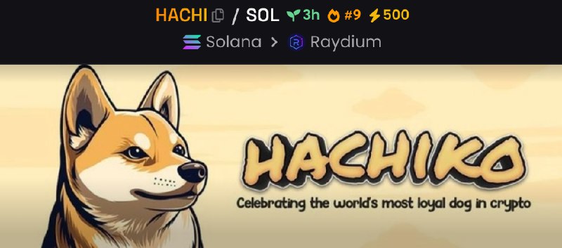 ***🔥*** **Hachiko has just entered Solana …