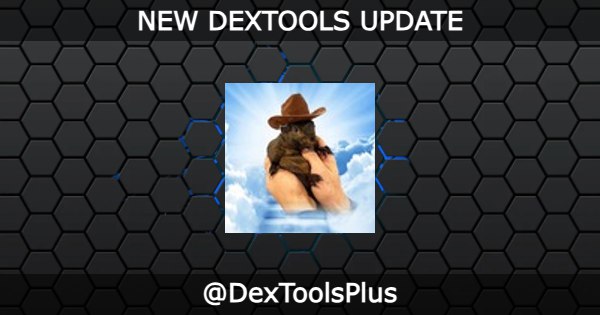 ***🆙*** **DEXTOOLS UPDATE** ***🆙***