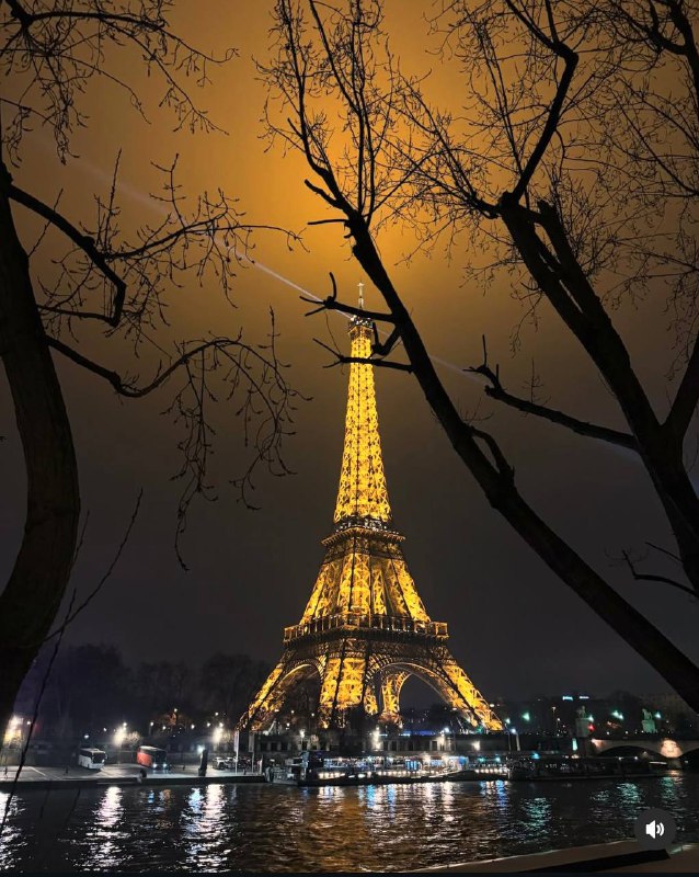 Директор Всего