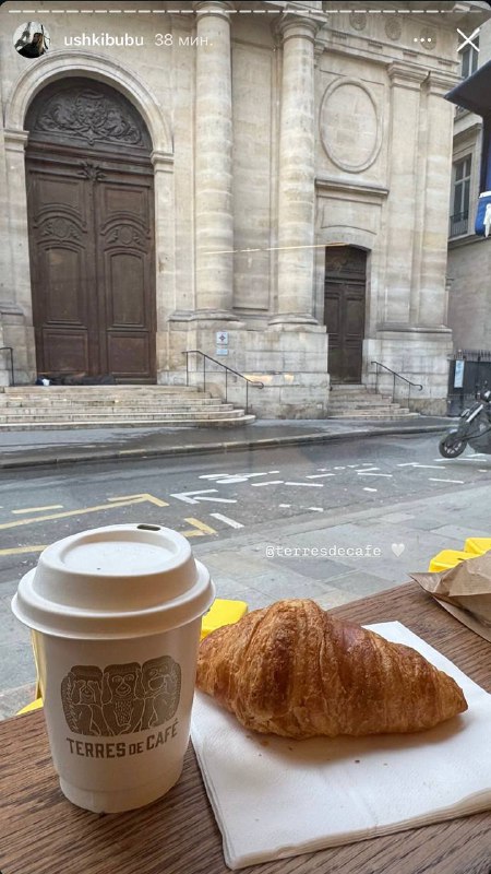 Директор Всего