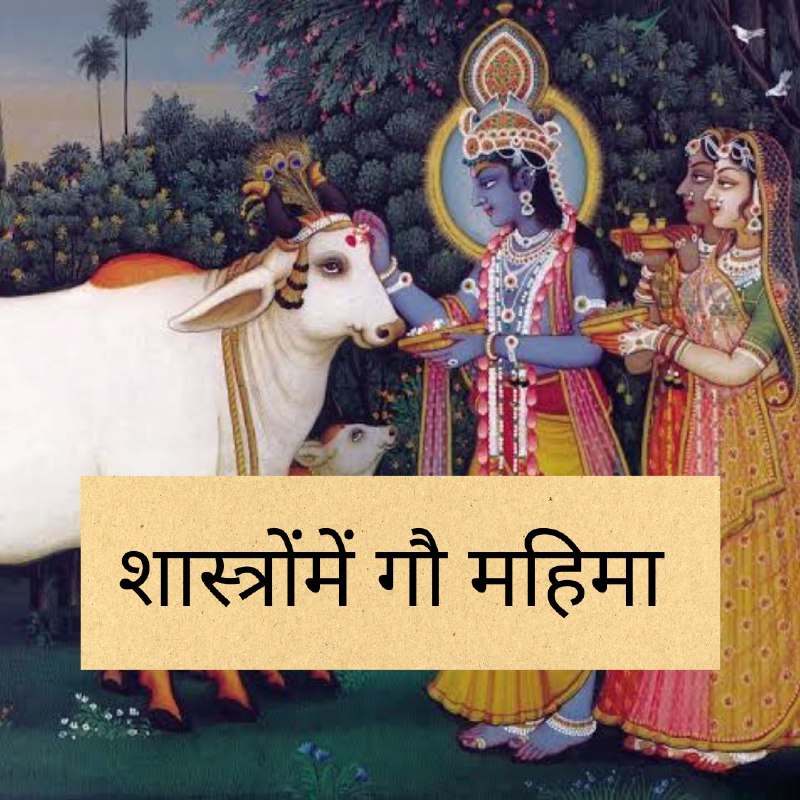 ‘गौएँ स्वर्गकी सीढ़ियाँ हैं, गौएँ स्वर्गमें …