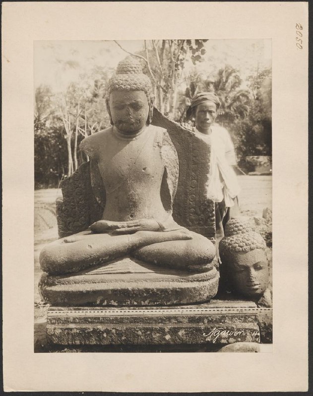 Dharma Pixels